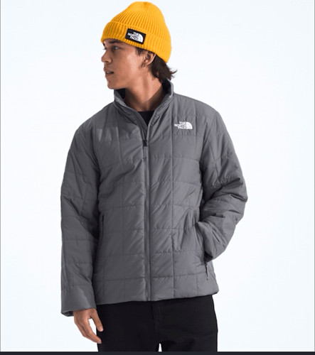 The north face men - l, gray